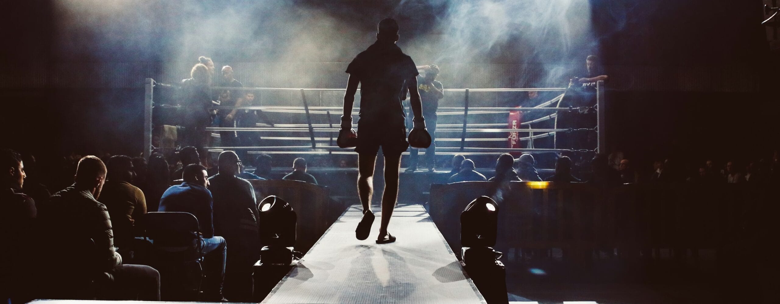 boxer